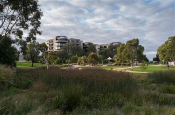 Looking across a park towards apartments